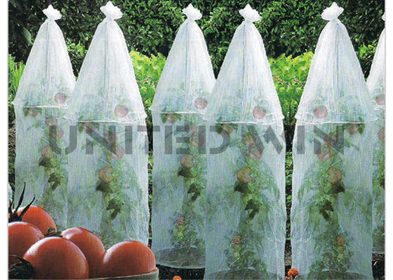 20g/㎡ Anti UV PP Spunbond Non Woven Materials Fabric Use For Agricultural Products